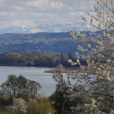 Apartamento Fewo's Saentisblick Und Reblaube *