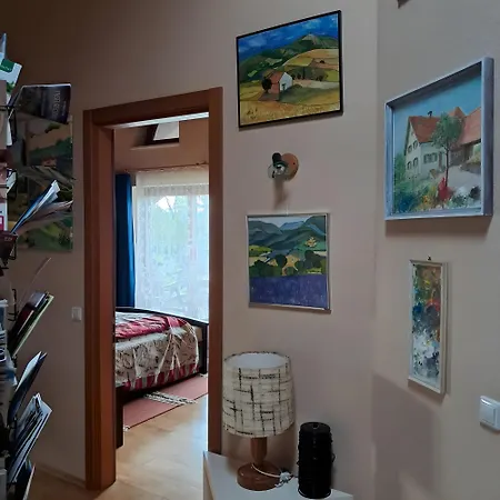Fewo's Saentisblick Und Reblaube Apartamento *