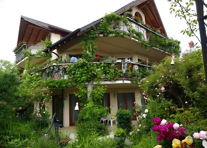 Fewo's Saentisblick Und Reblaube Appartamento *