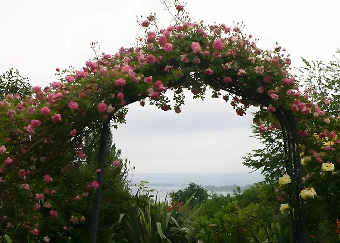 Fewo's Saentisblick Und Reblaube Appartamento *